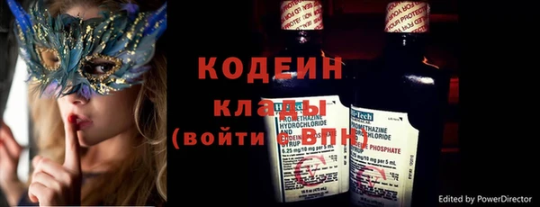 крисы Анива