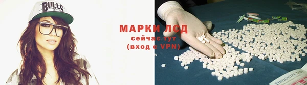 крисы Анива