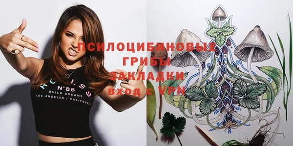 ГАЛЛЮЦИНОГЕННЫЕ ГРИБЫ Надым
