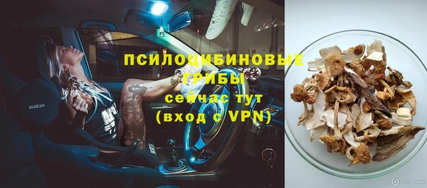 крисы Анива